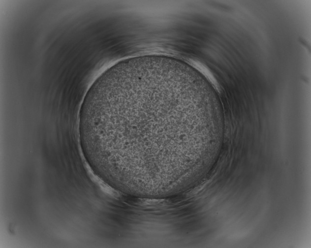 X0000091941439200710031109