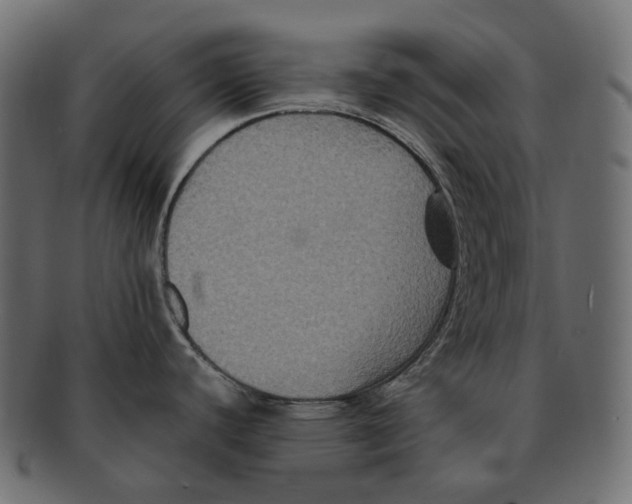 X0000091941440200710031109