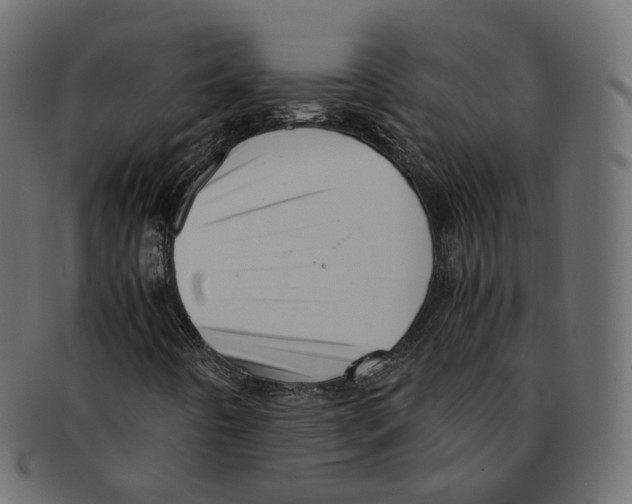 X0000091941442200710031109