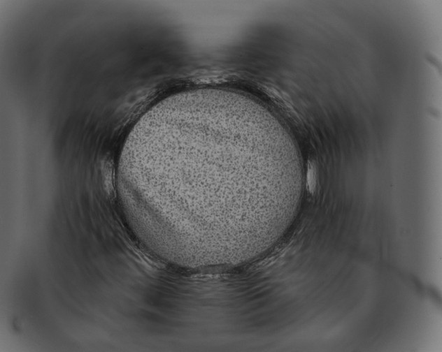 X0000091941444200710031108