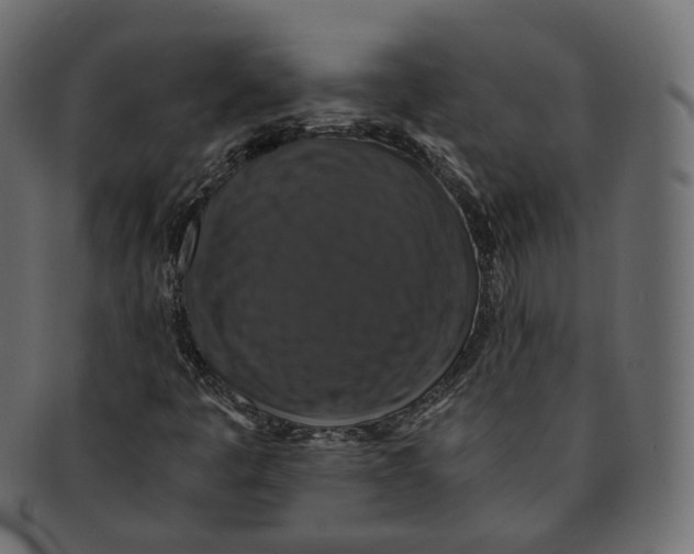 X0000091941445200710031108