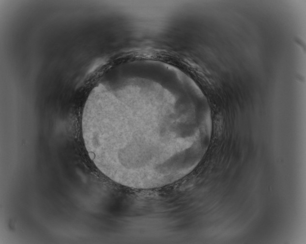 X0000091941446200710031108