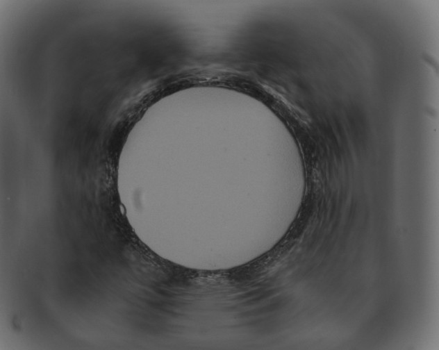 X0000091941447200710031108