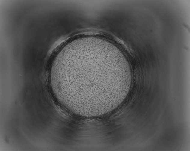 X0000091941448200710031108