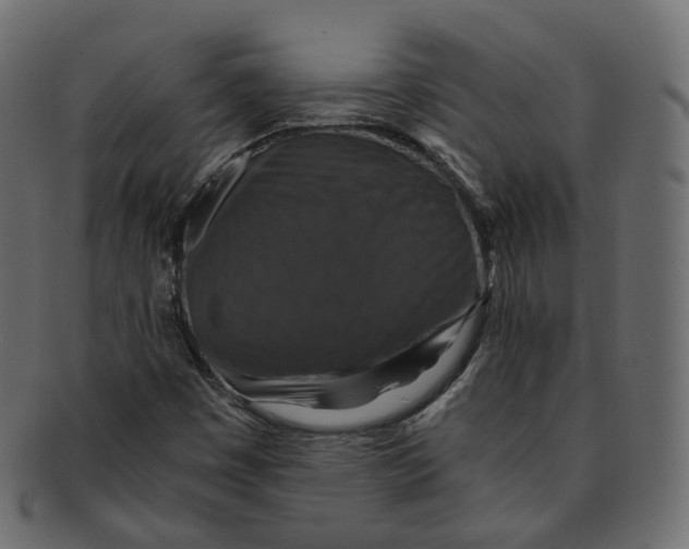 X0000091941449200710031108