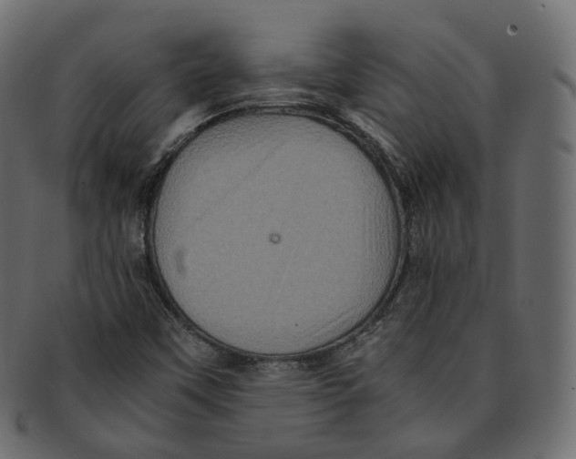 X0000091941451200710031108