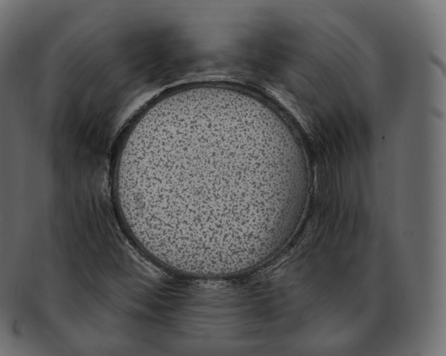 X0000091941452200710031108