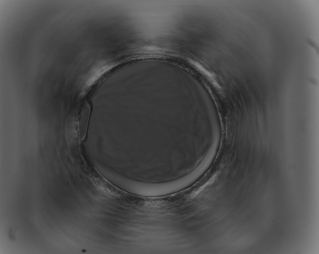 X0000091941453200710031108