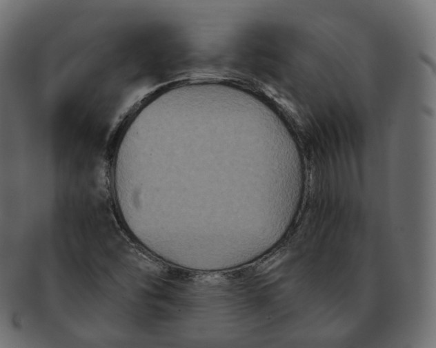 X0000091941454200710031108