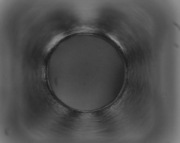 X0000091941455200710031108