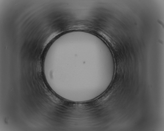 X0000091941458200710031108