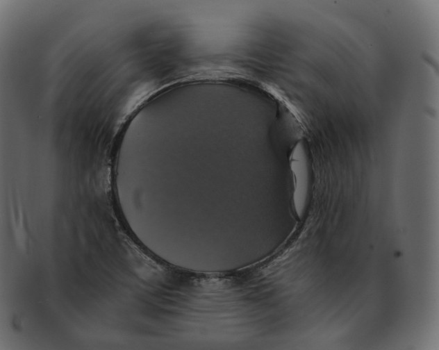 X0000091941459200710031108