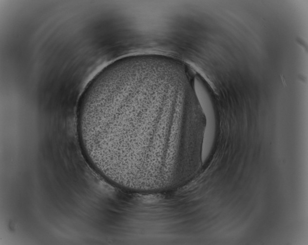 X0000091941460200710031108