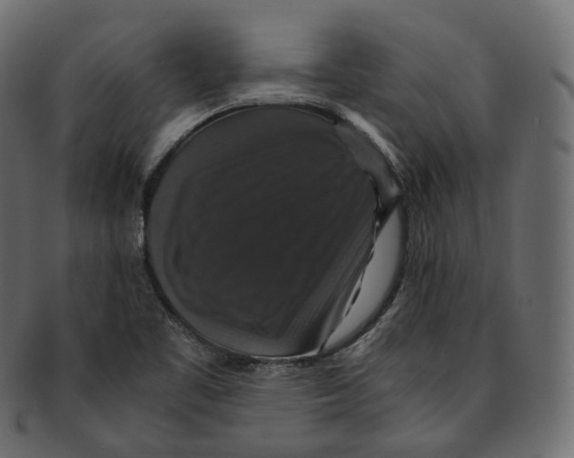 X0000091941461200710031108