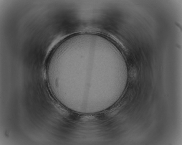 X0000091941462200710031108