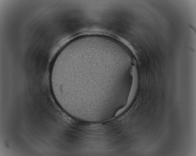 X0000091941464200710031108