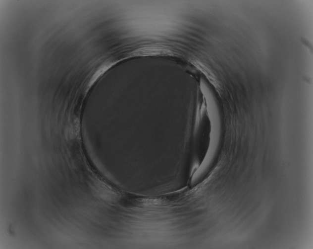 X0000091941465200710031108