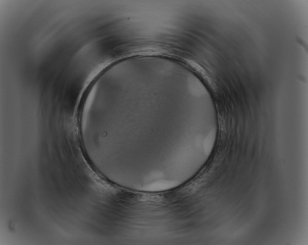 X0000091941466200710031108