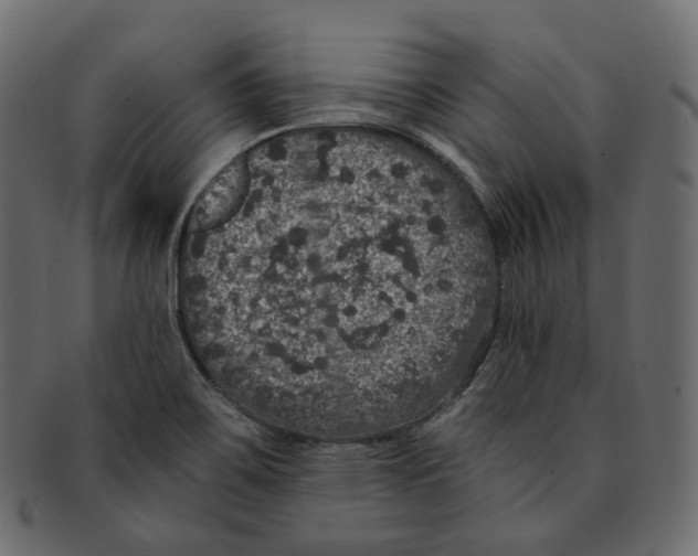 X0000091941467200710031108