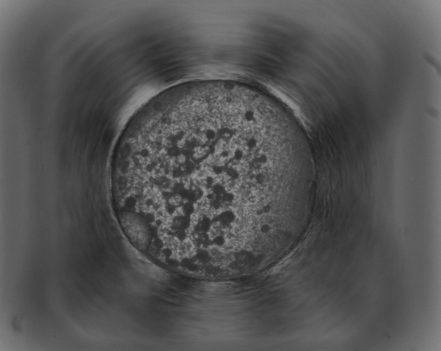 X0000091941471200710031108