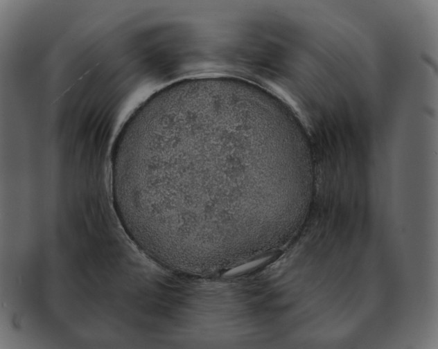 X0000091941472200710031108