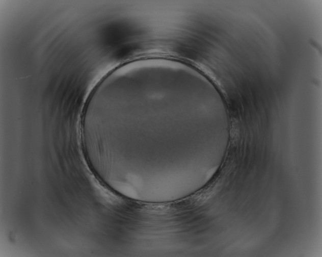 X0000091941474200710031108