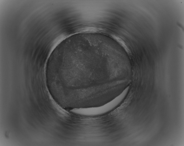 X0000091941475200710031108