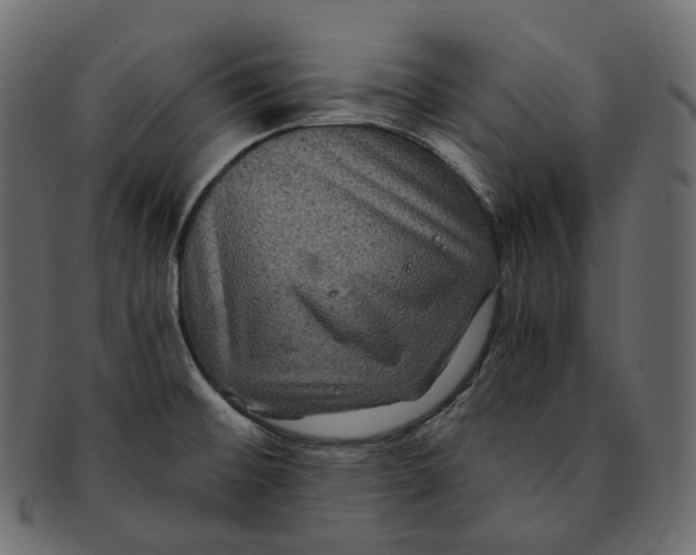 X0000091941476200710031108