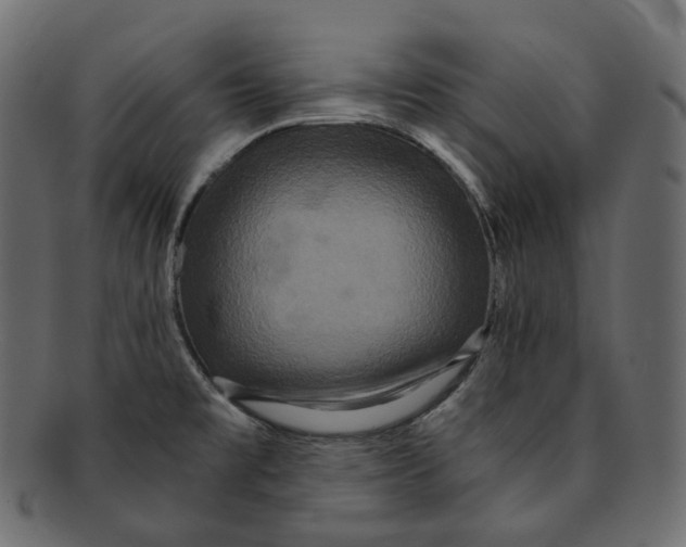 X0000091941477200710031108