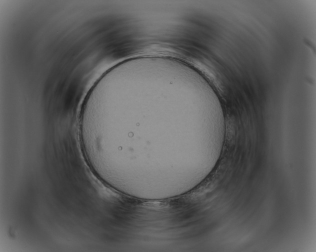 X0000091941478200710031108