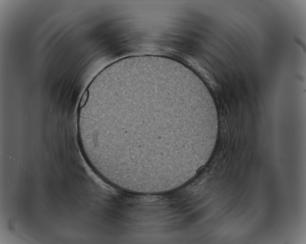 X0000091941479200710031108