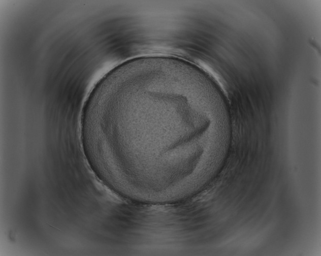 X0000091941480200710031108