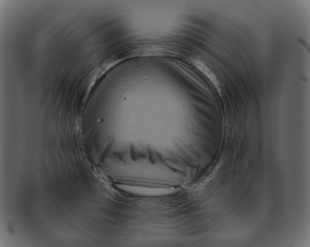 X0000091941481200710031108