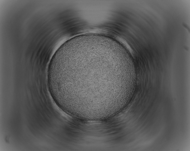 X0000091941483200710031108