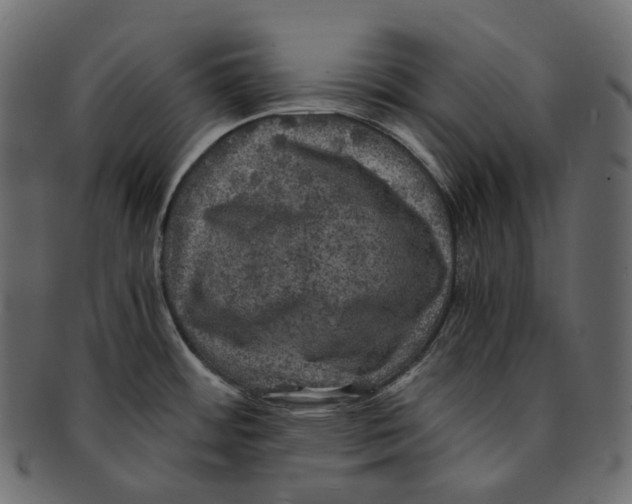 X0000091941484200710031108