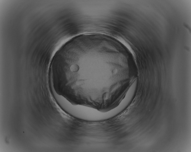 X0000091941485200710031108