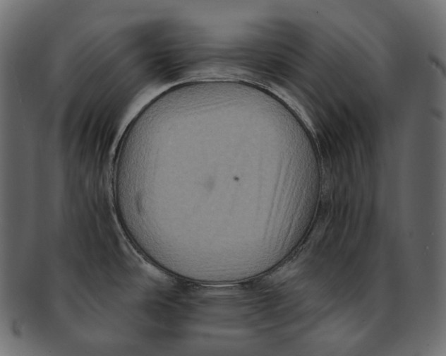 X0000091941486200710031108