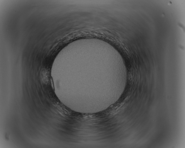 X0000091941490200710031107