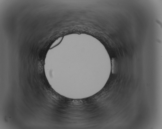 X0000091941491200710031107