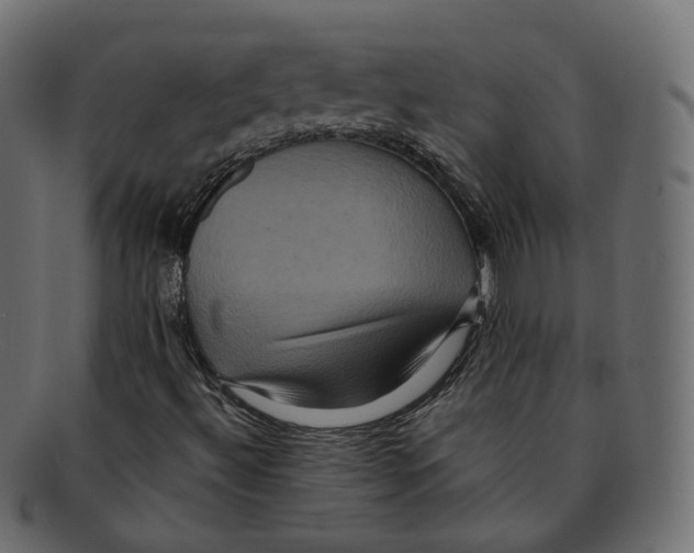 X0000091941492200710031107