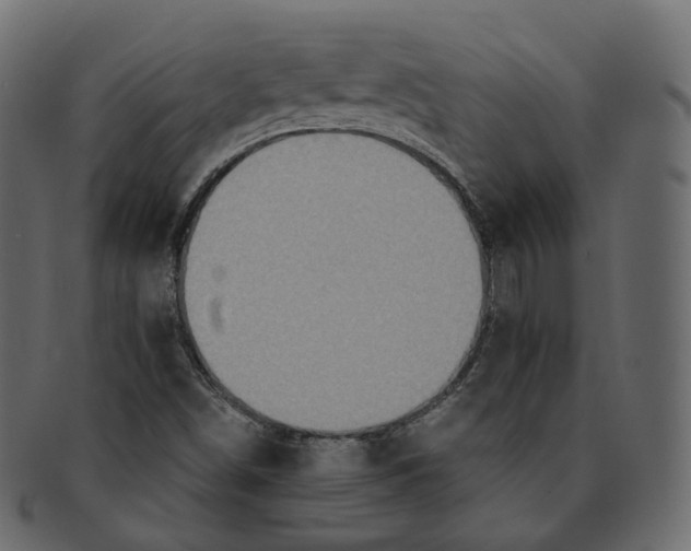 X0000091941498200710031108