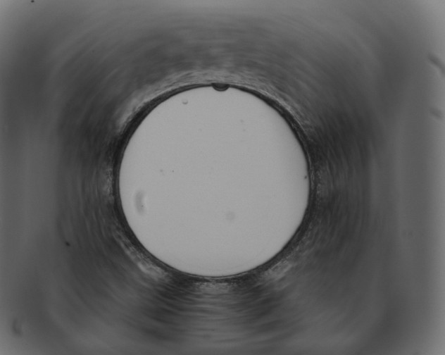 X0000091941499200710031108