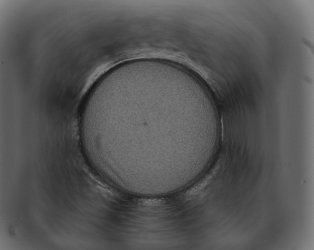 X0000091941501200710031108