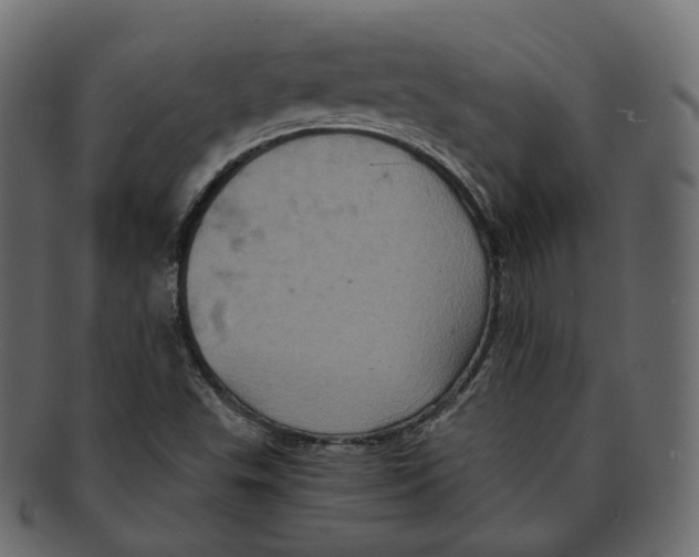 X0000091941503200710031108