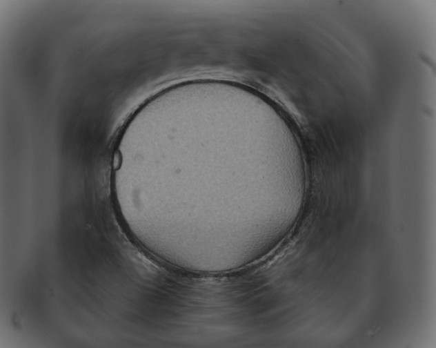 X0000091941504200710031108