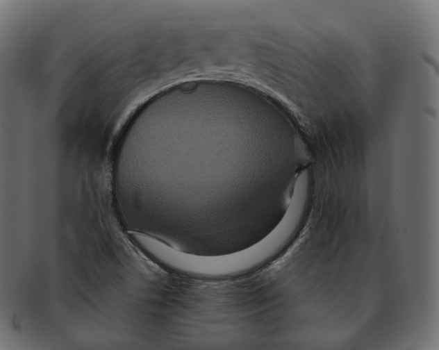 X0000091941506200710031108