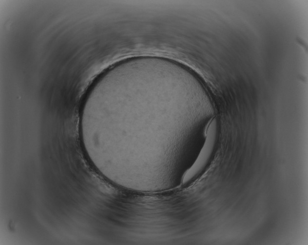 X0000091941507200710031108