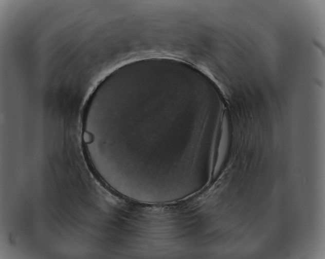 X0000091941508200710031108