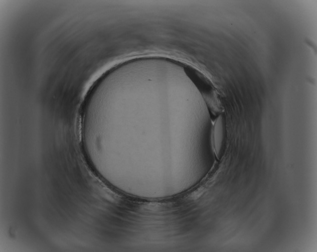 X0000091941510200710031108