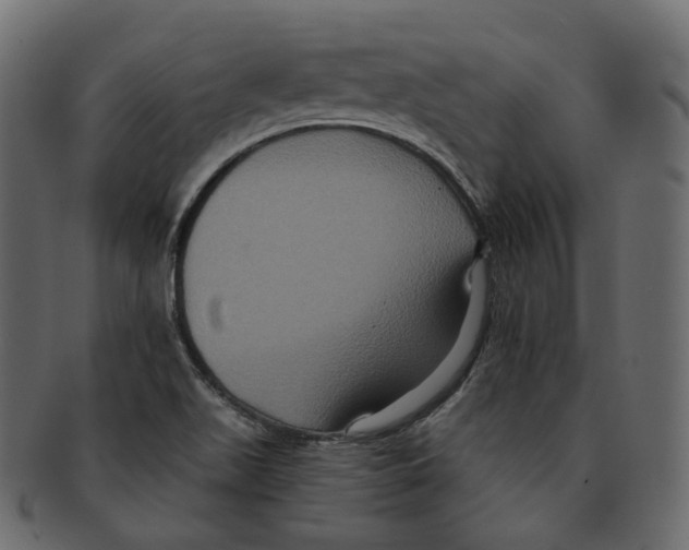 X0000091941511200710031108